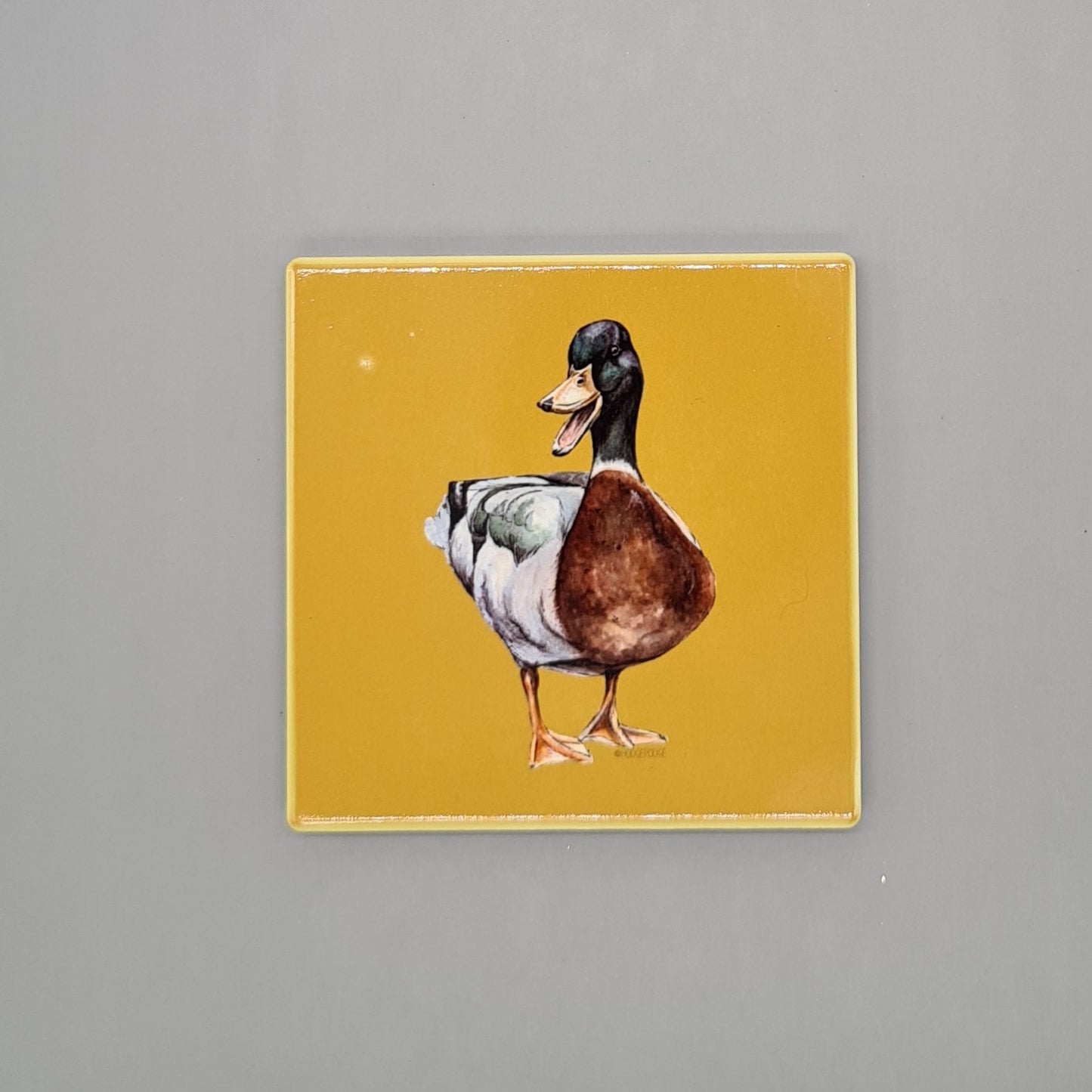 Beautiful Mallard Duck Art Ceramic Coaster featuring 'The Duke' Print