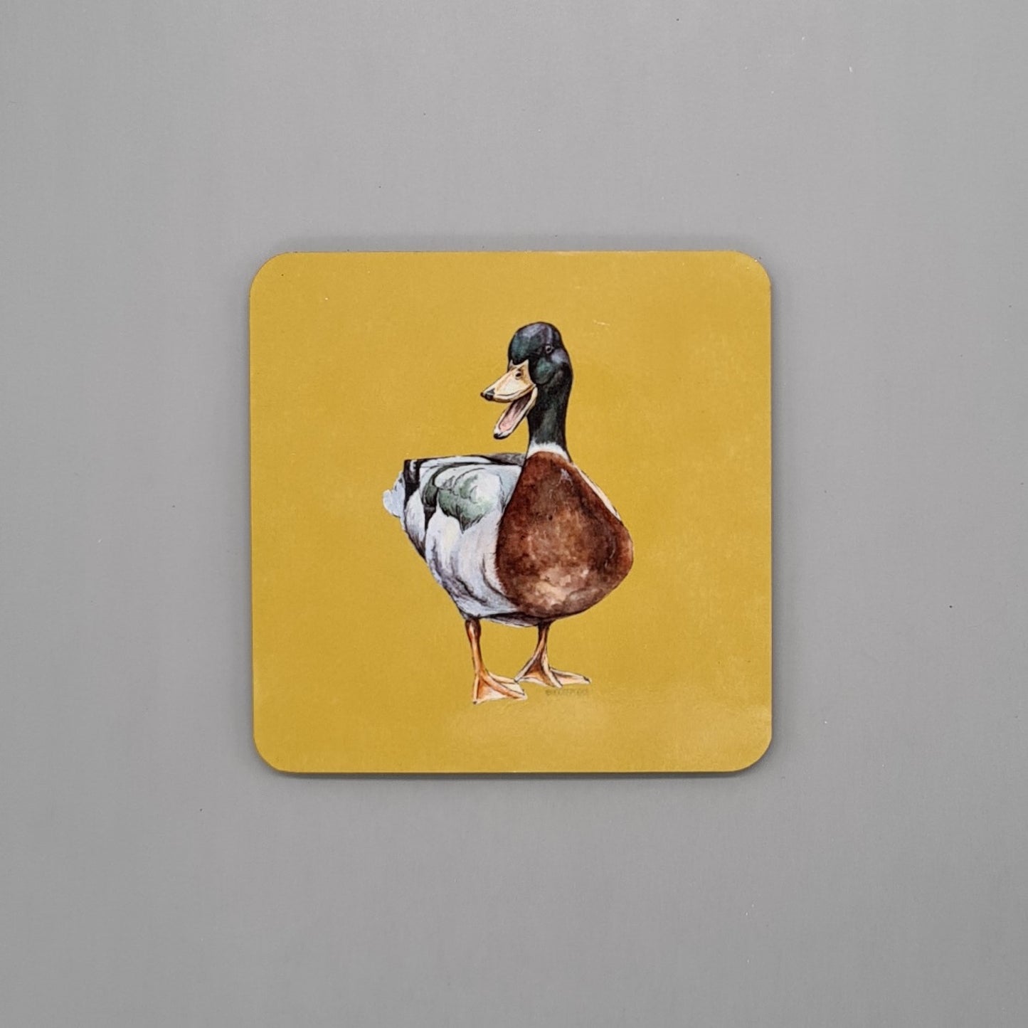 Beautiful Mallard Duck Art Hardwood Coaster featuring 'The Duke' Print