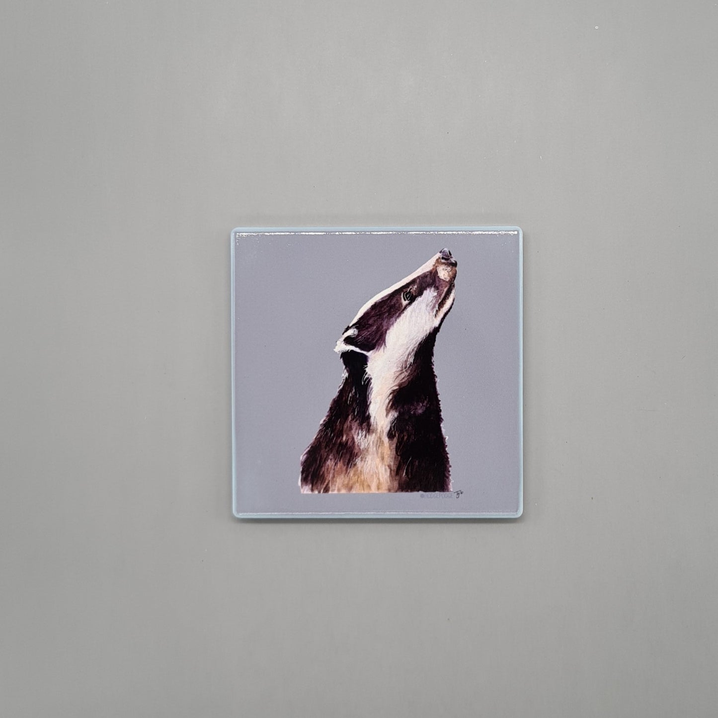 Beautiful Badger Art Ceramic Coaster featuring 'Mr Badger' Print