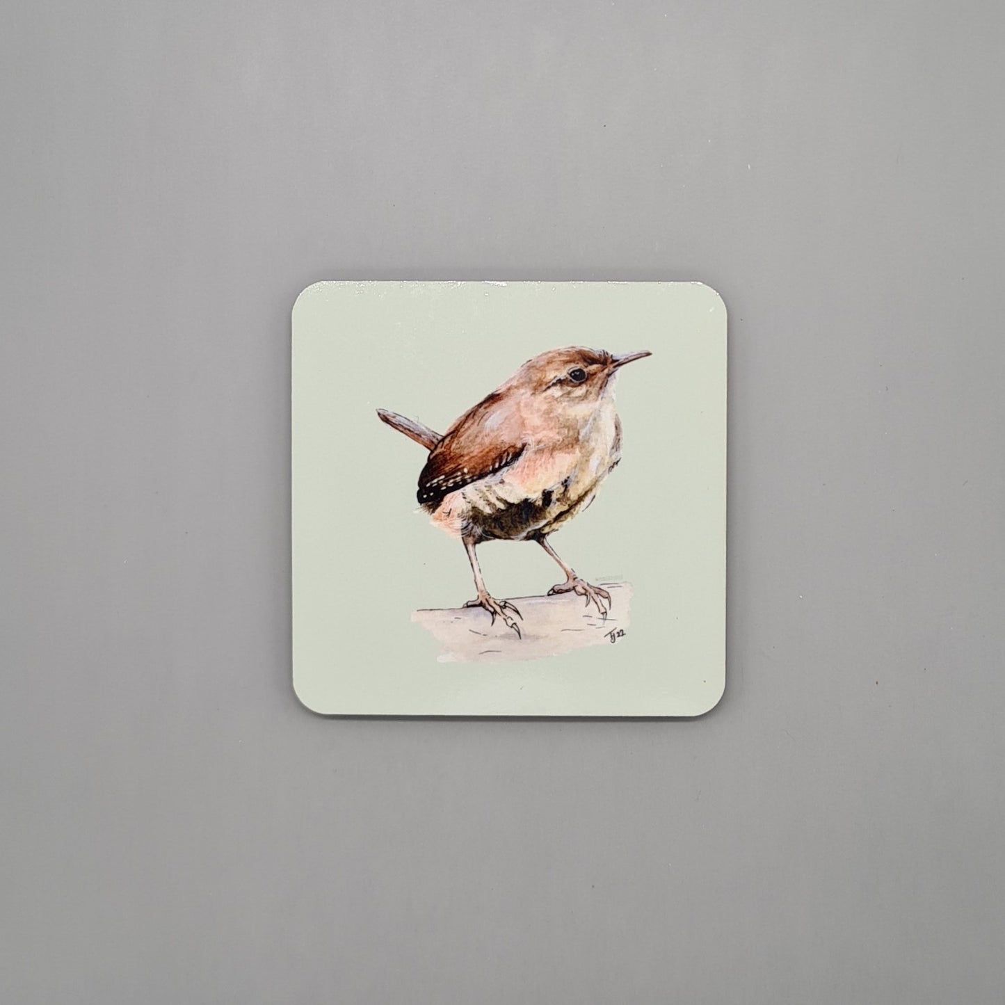 Beautiful British Wren Art Hardwood Coaster featuring 'Jenny Wren' Print