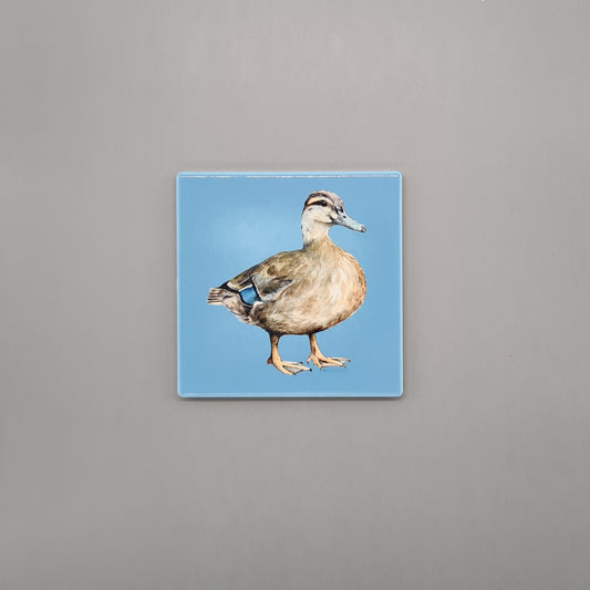 Beautiful Female Mallard Duck Art Ceramic Coaster featuring 'Queenie' Print