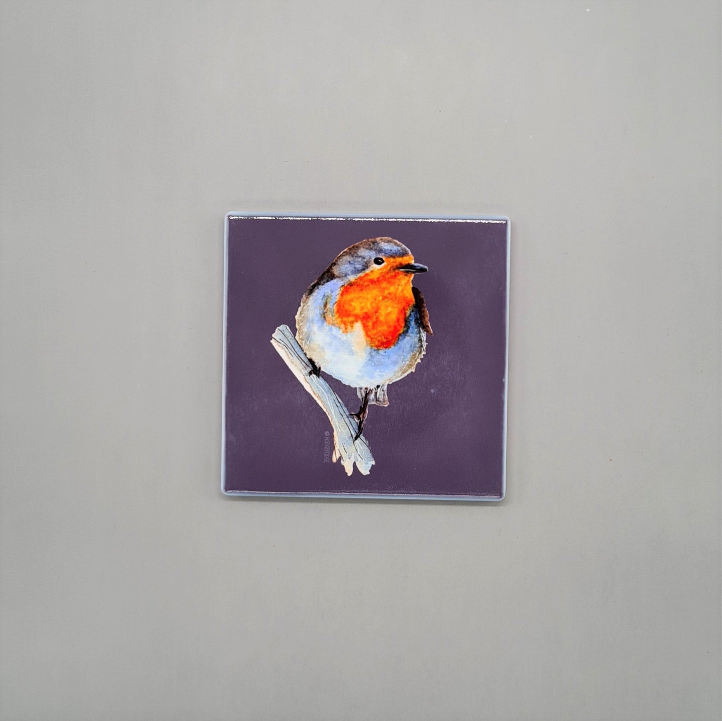 Beautiful British Robin Art Ceramic Coaster featuring 'Garden Party Robin' Print