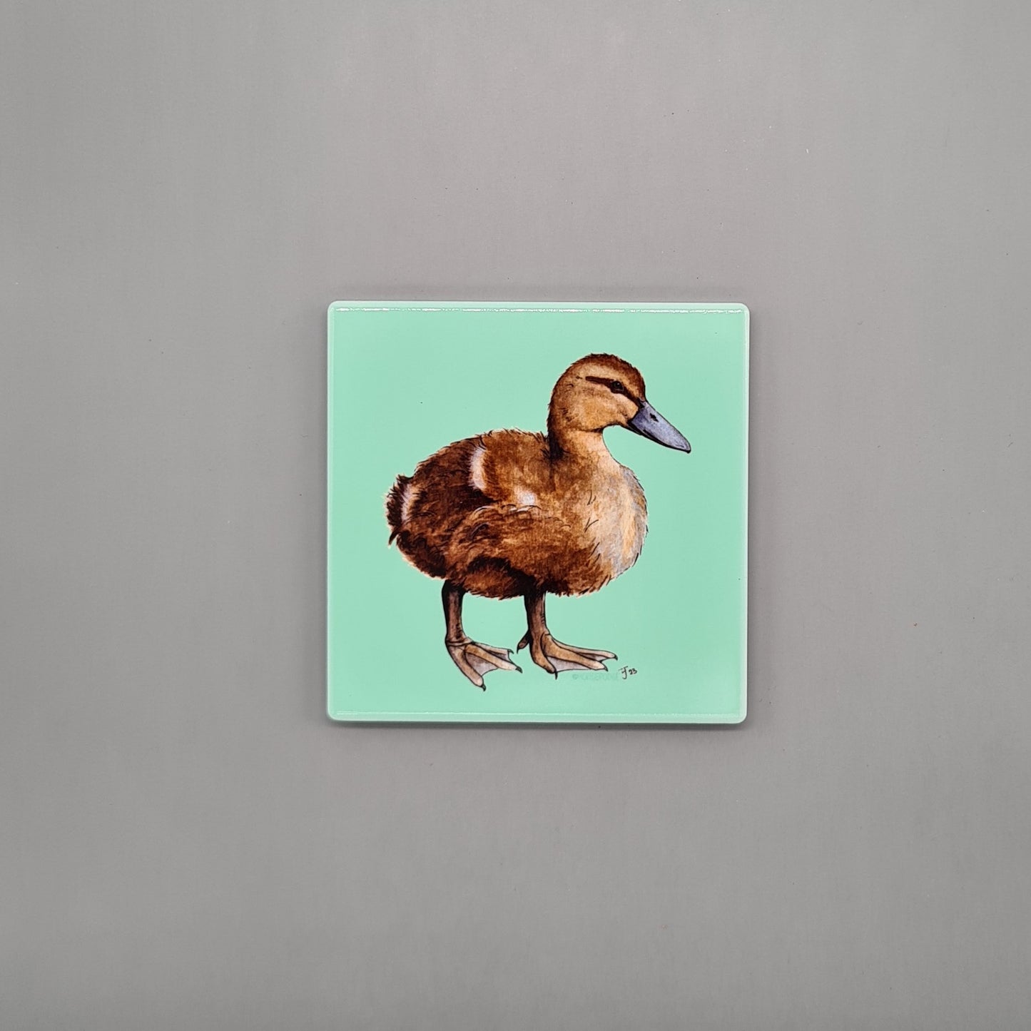 Beautiful Mallard Duckling Art Ceramic Coaster featuring 'Lady' Print