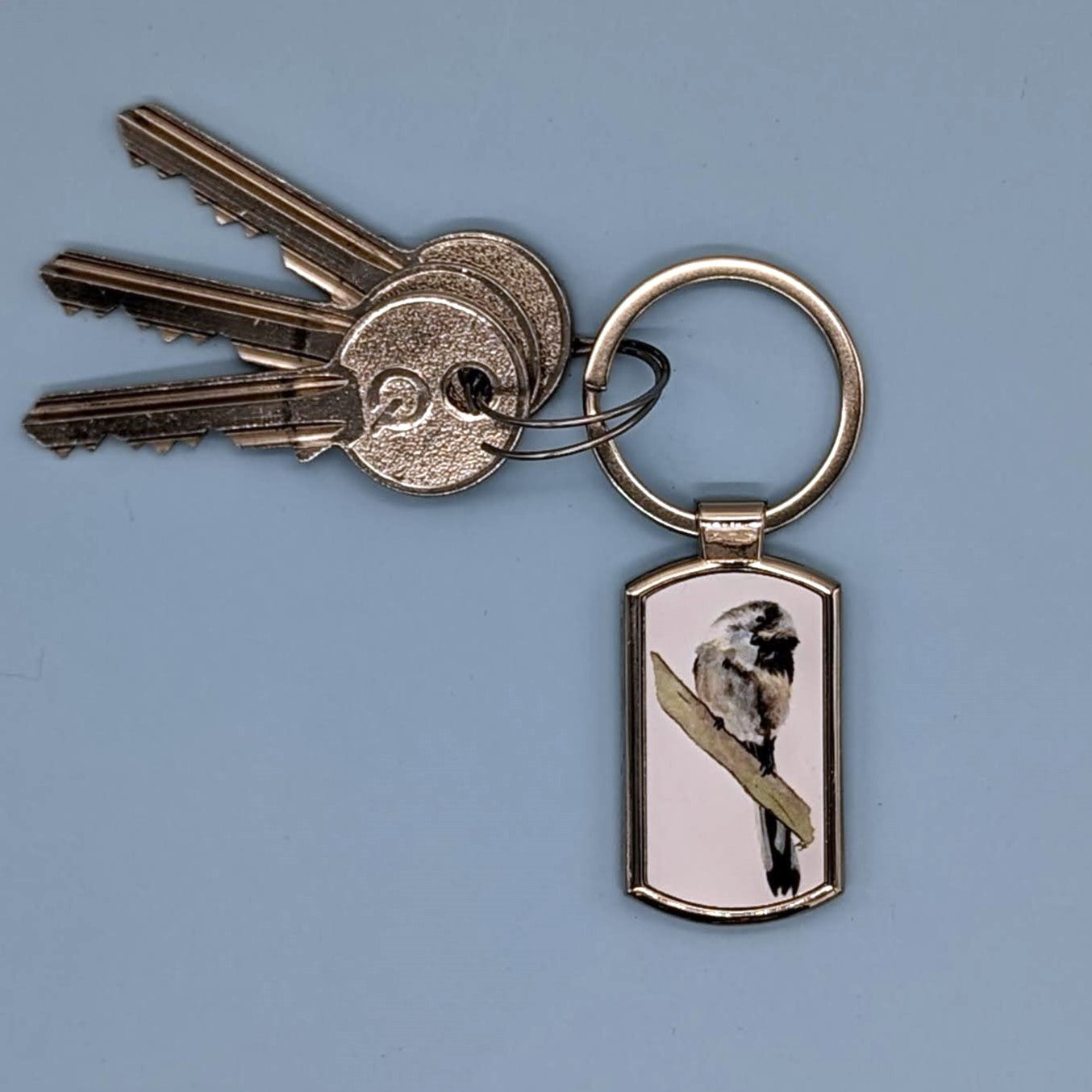 "What's This?" Long Tailed Tit Keyring