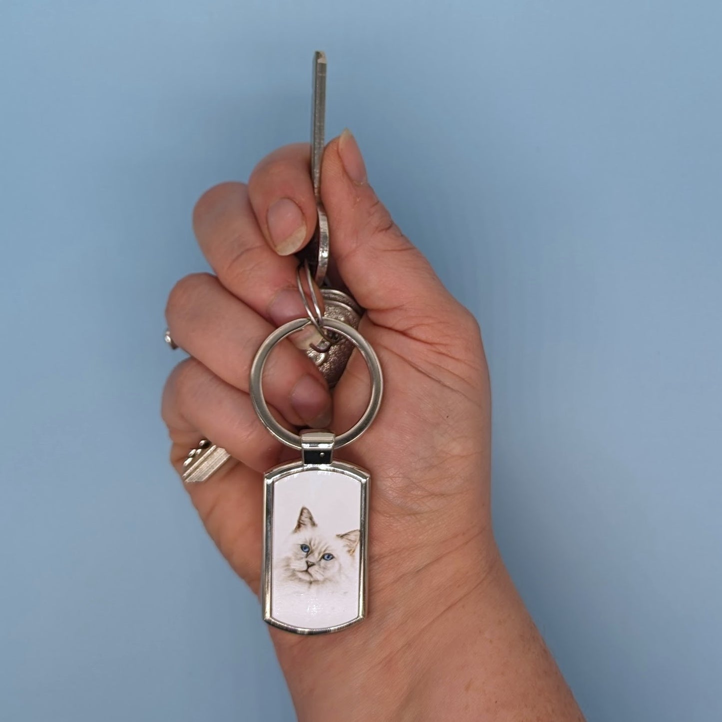 "Sapphire" the White Cat Keyring