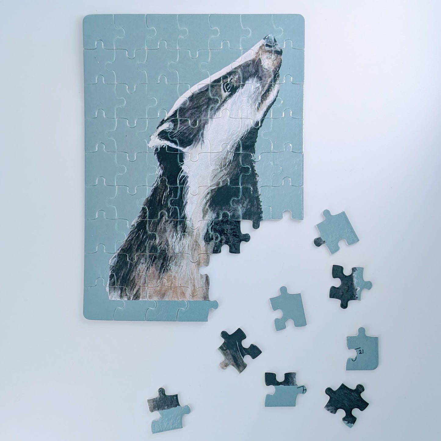 63 piece Badger Jigsaw in a tin