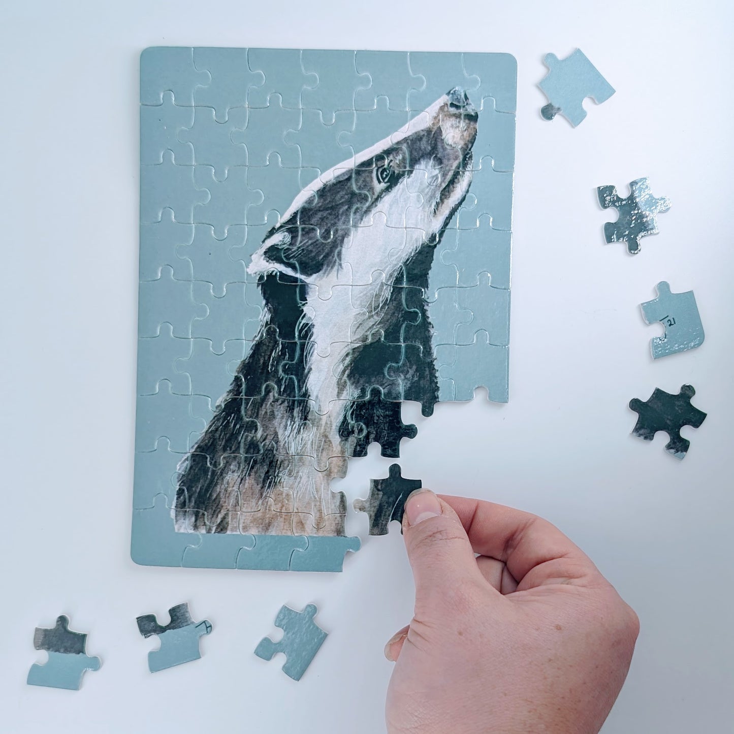 63 piece Badger Jigsaw in a tin