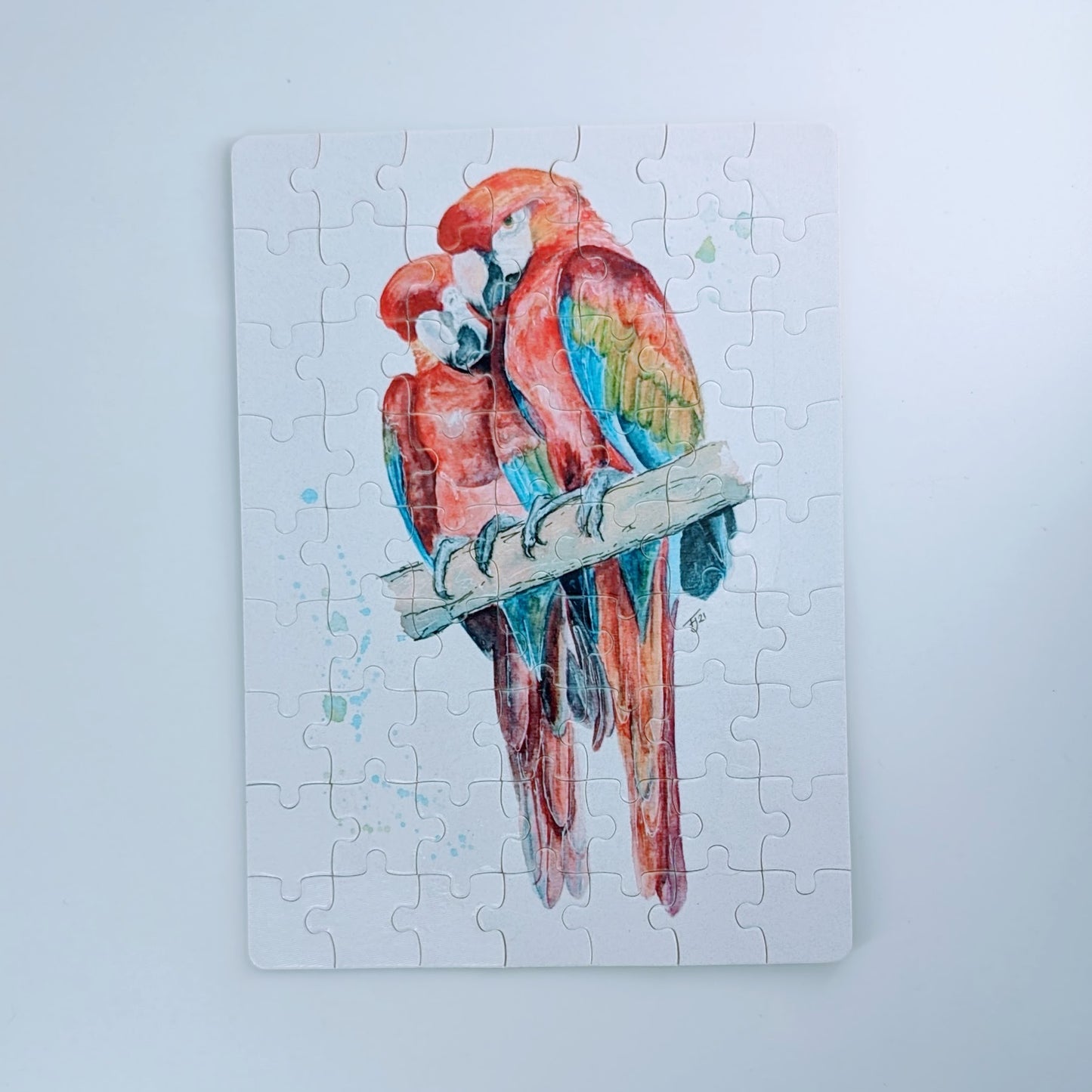63 piece Macaw Jigsaw in a tin