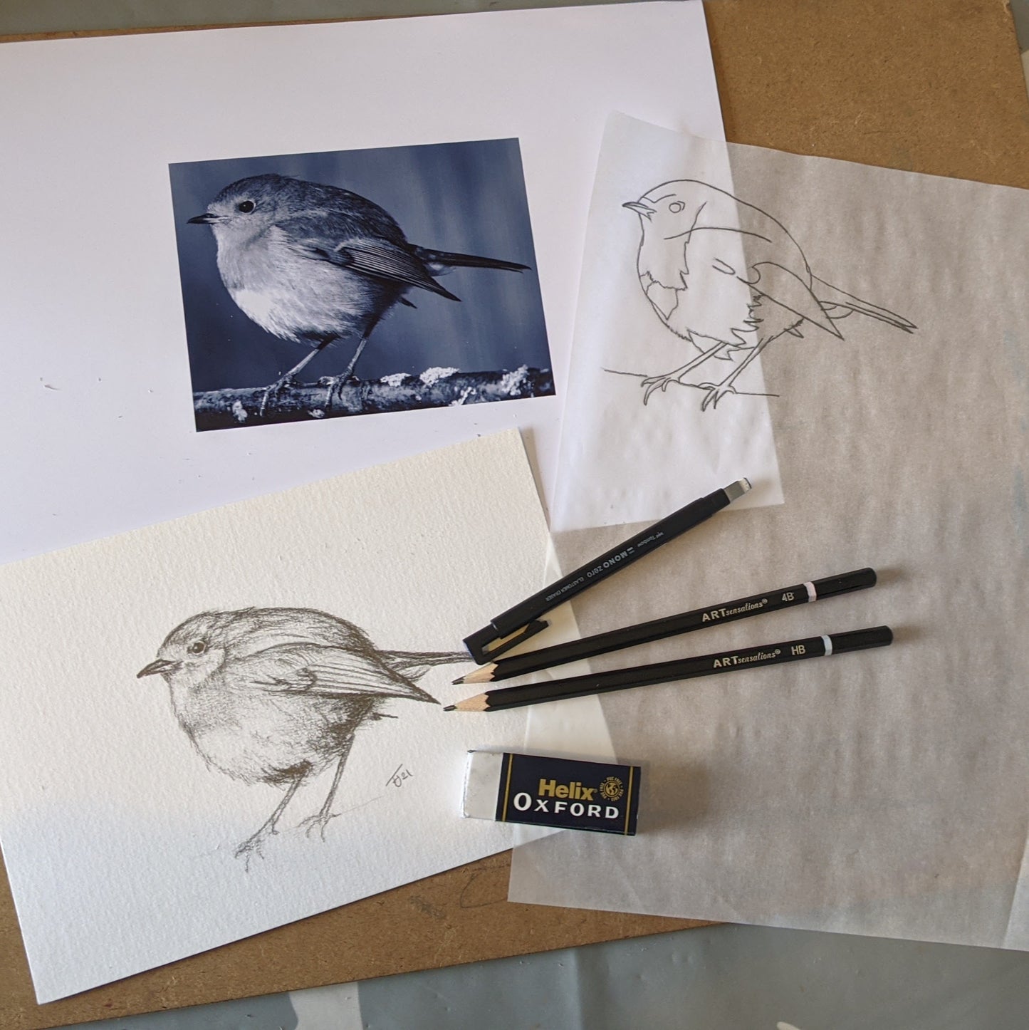 Pencil Drawing - Robin