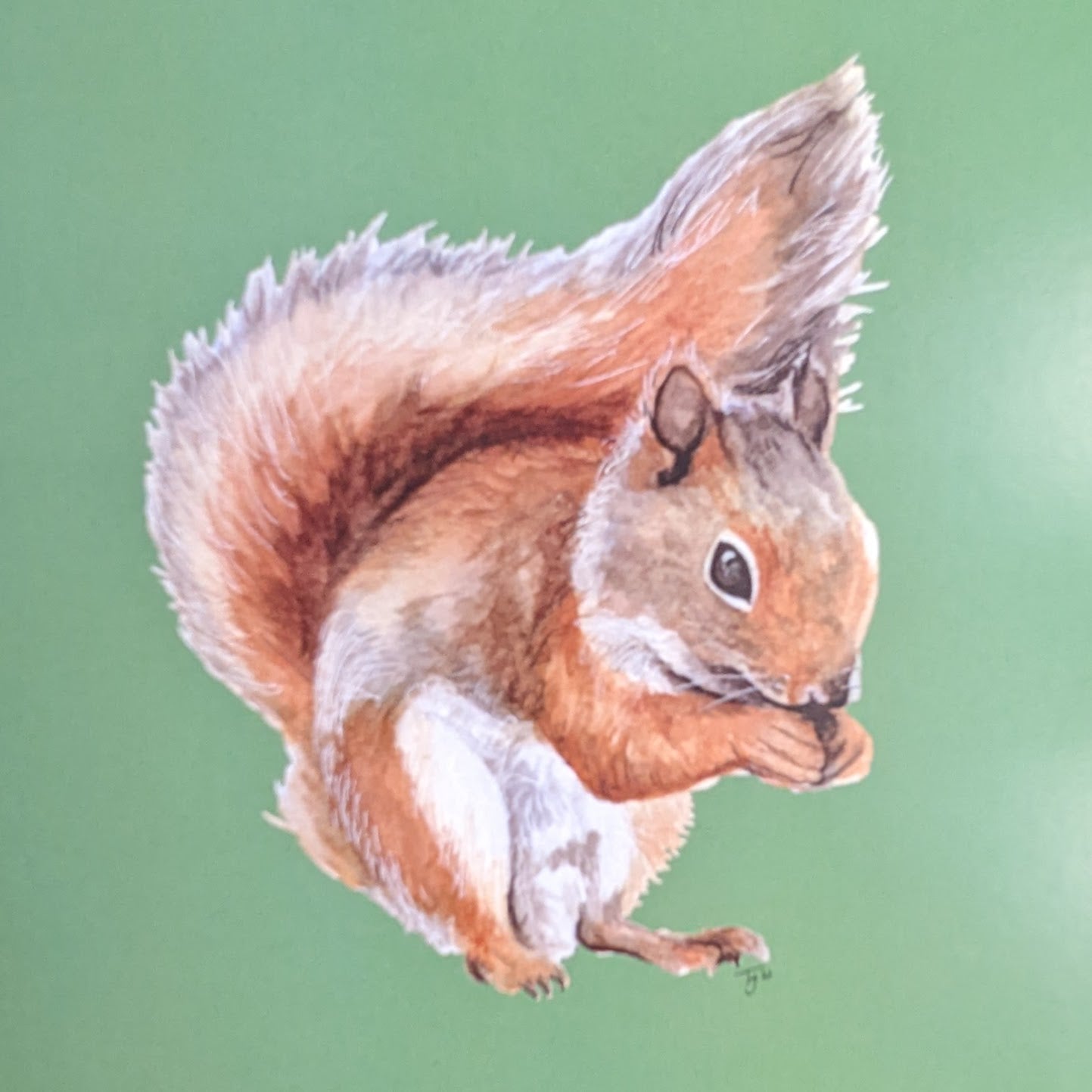 "Nutkin" Red Squirrel Blank Greetings Card