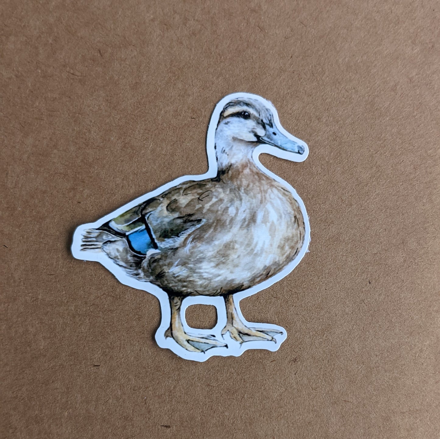 Female Mallard Duck Sticker "Queenie"