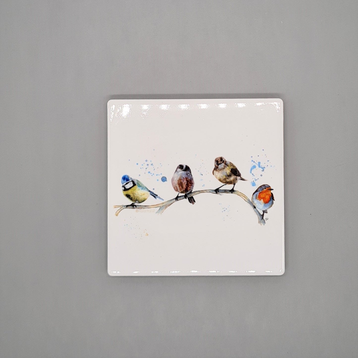 Beautiful British Birds Art Ceramic Coaster featuring Garden Party Print.