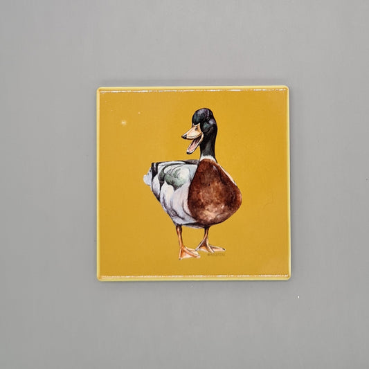 Beautiful Mallard Duck Art Ceramic Coaster featuring 'The Duke' Print