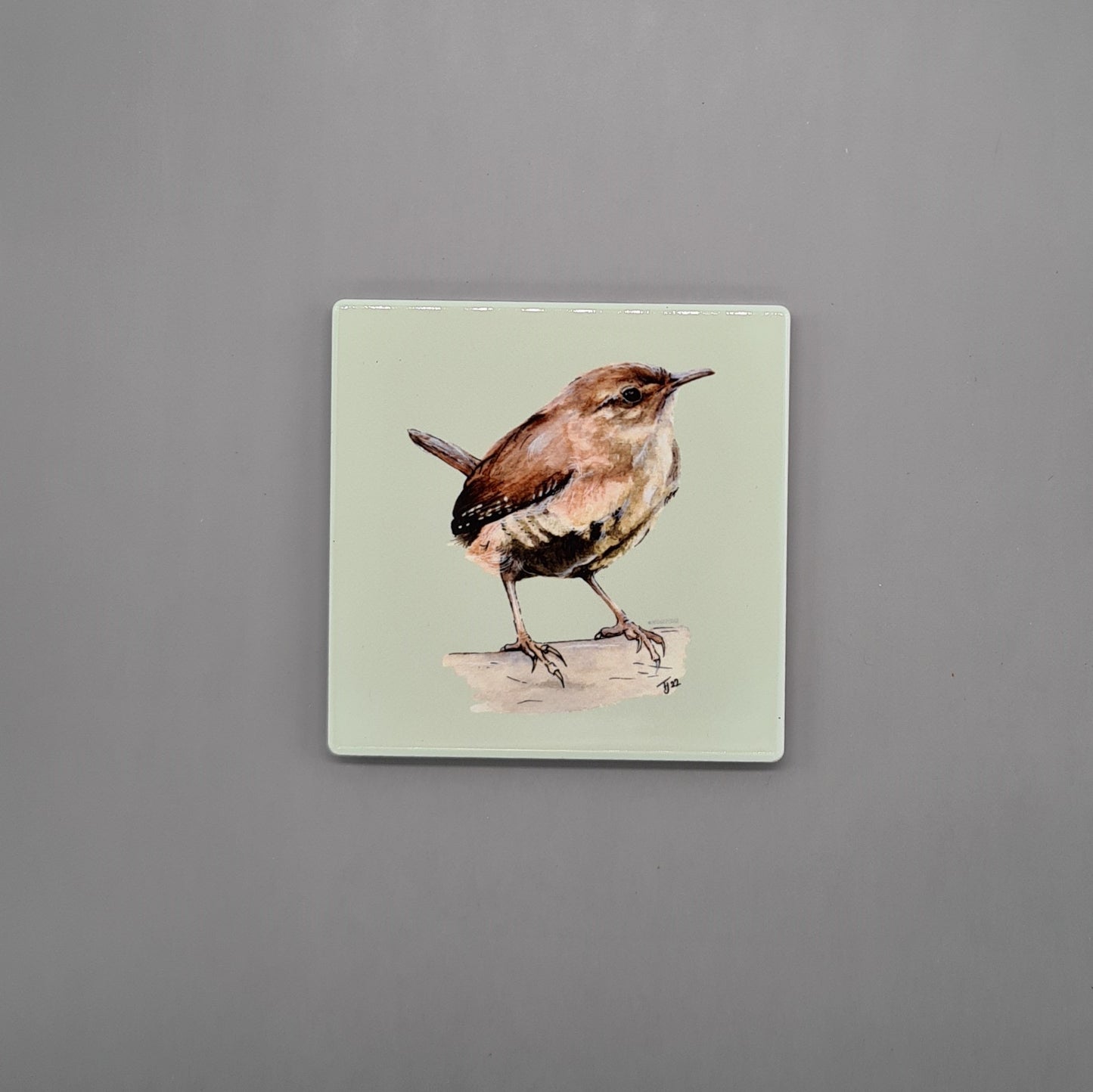 Beautiful British Wren Art Ceramic Coaster featuring 'Jenny Wren' Print