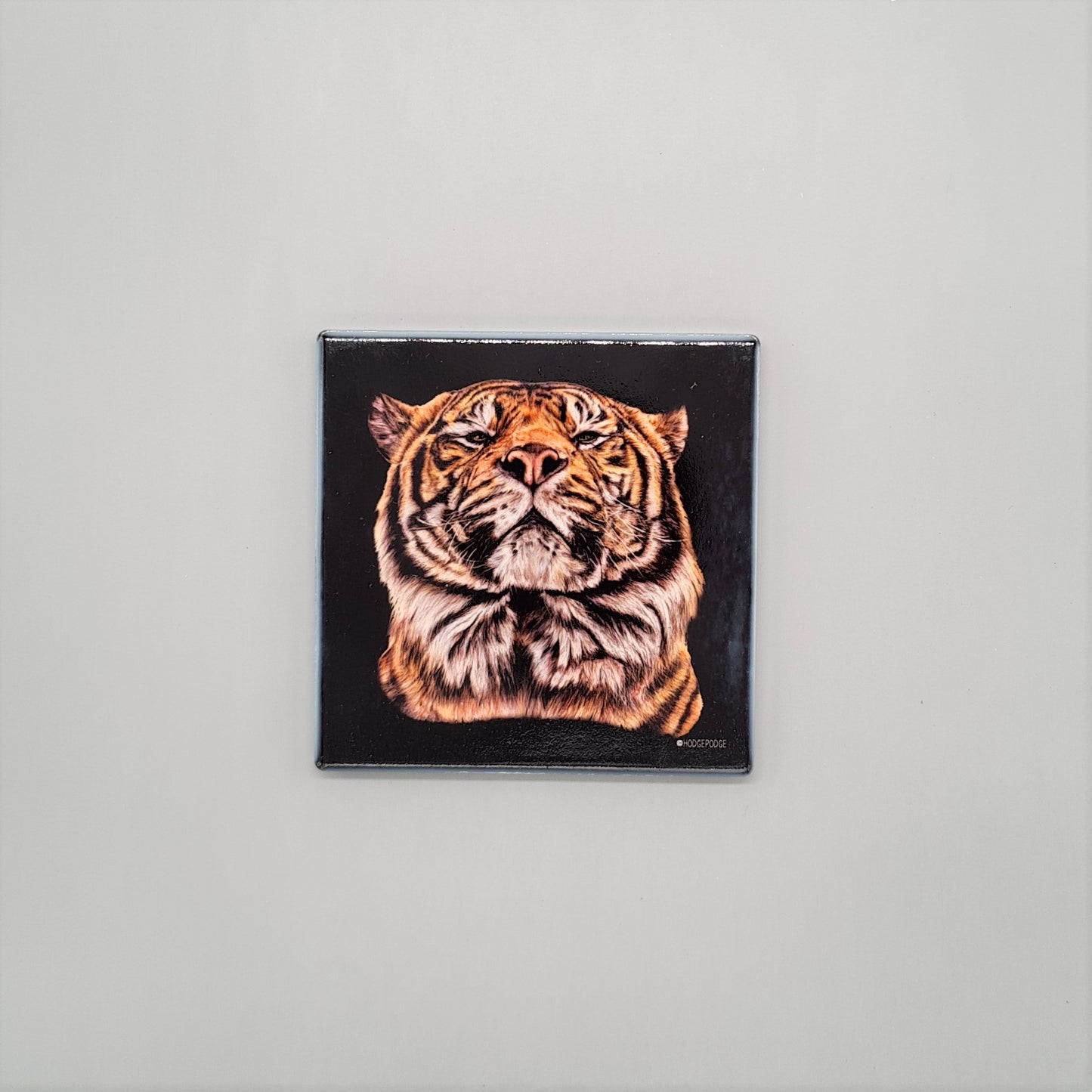 Beautiful Sumatran Tiger Art Ceramic Coaster featuring 'Joao' Print