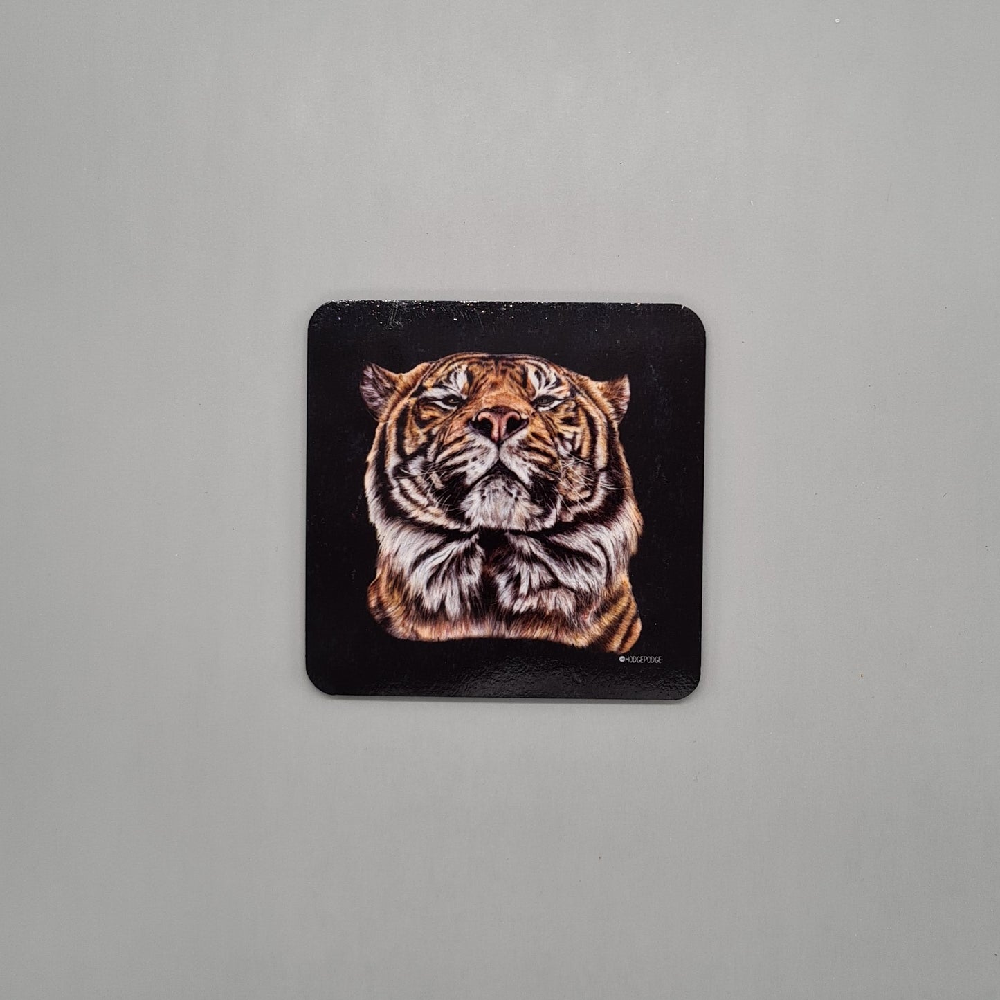 Beautiful Sumatran Tiger Art Hardwood Coaster featuring 'Joao' Print