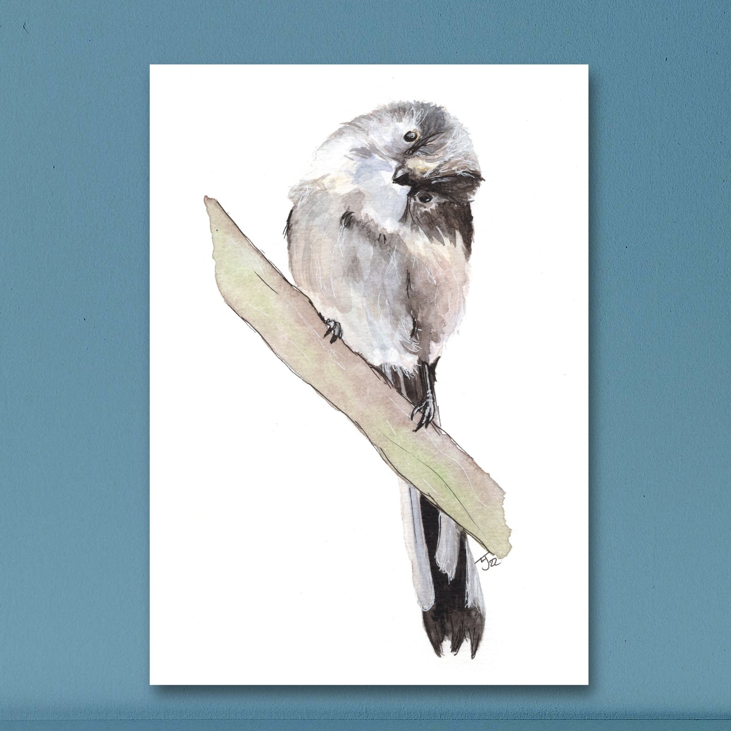 "What's This?" Long Tailed Tit Art Print