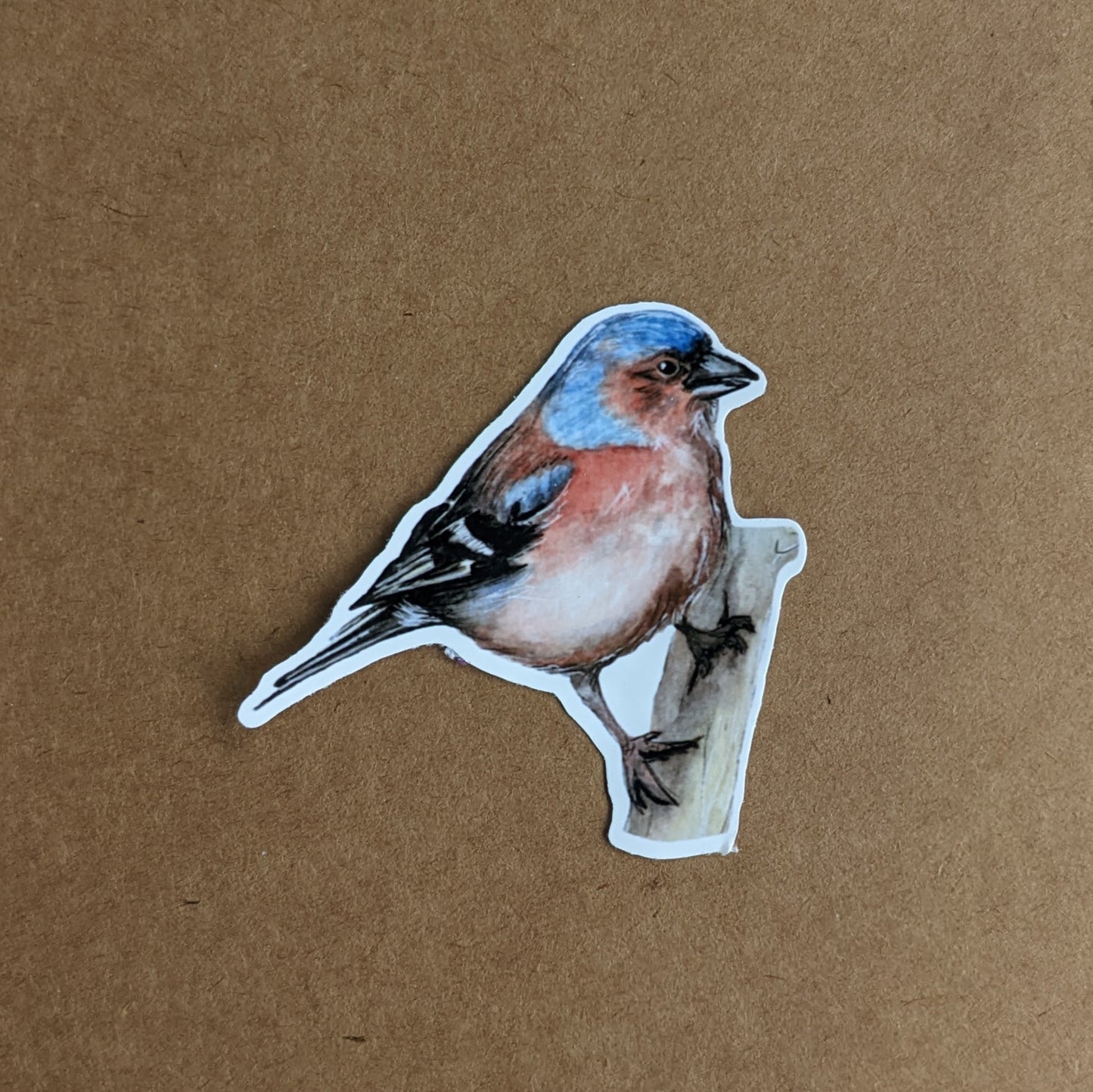 British Finch 4 Bird Sticker Set / Goldfinch / Bullfinch / Chaffinch / Greenfinch