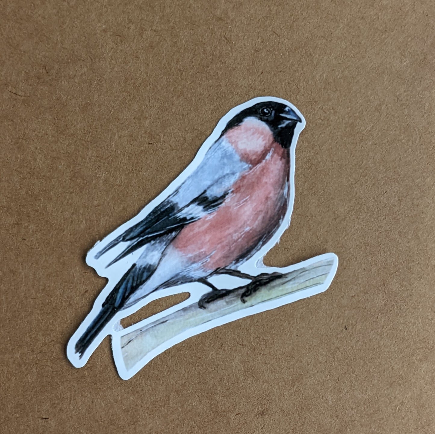 British Finch 4 Bird Sticker Set / Goldfinch / Bullfinch / Chaffinch / Greenfinch
