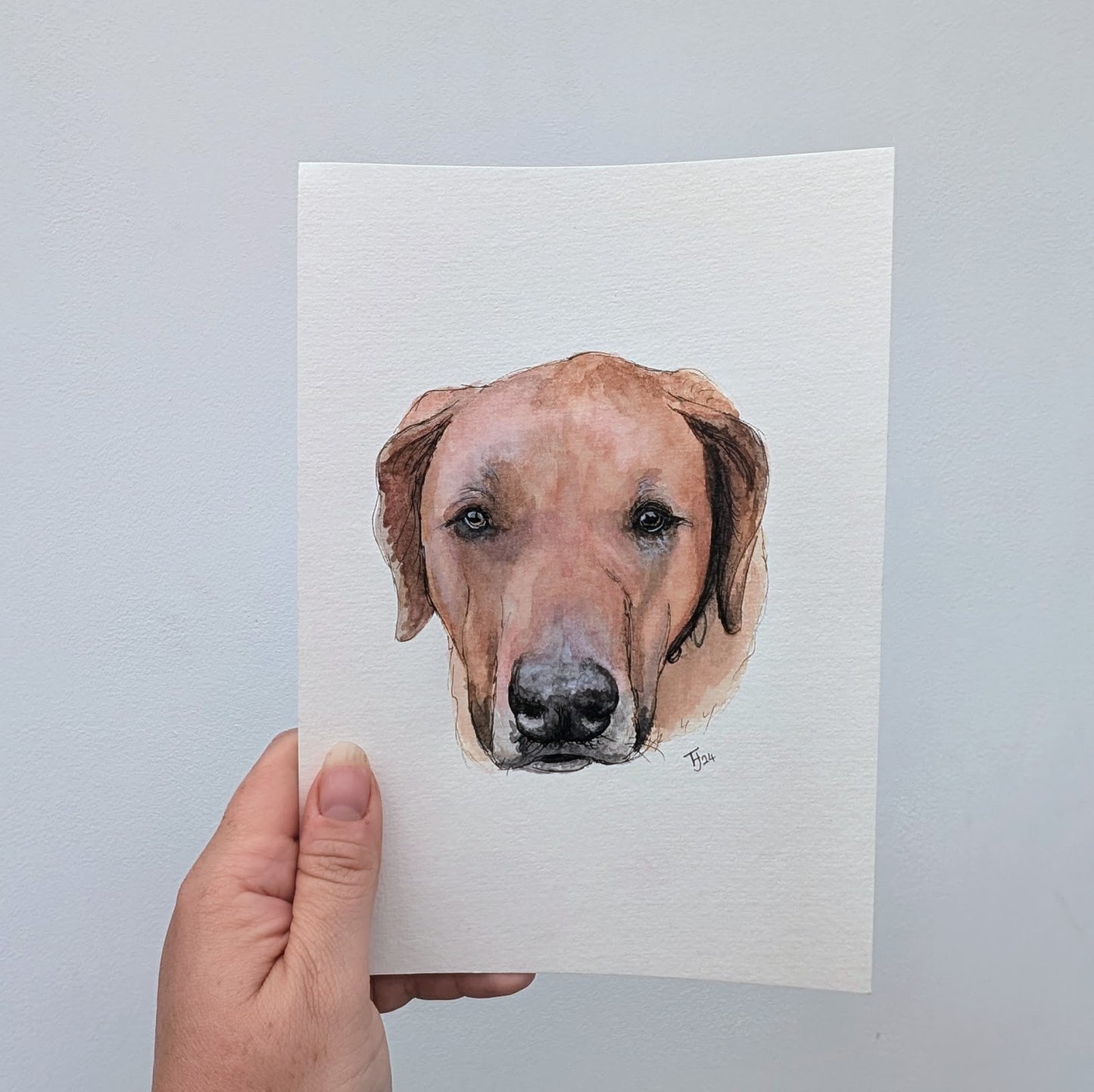 A5 Quick Watercolour Pet Portrait