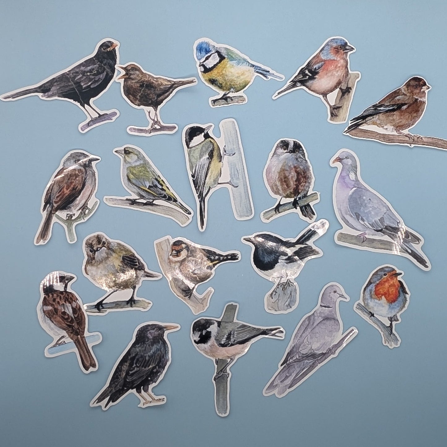 British Garden 18 Bird Sticker Set