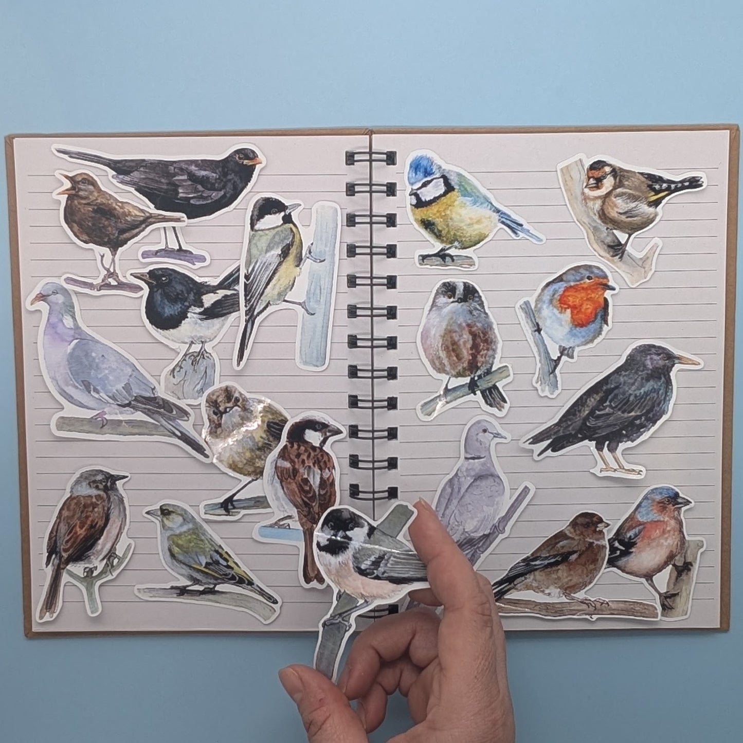 British Garden 18 Bird Sticker Set