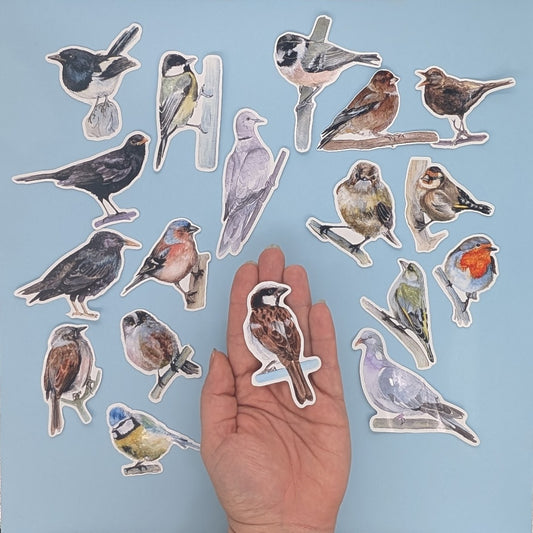 British Garden 18 Bird Sticker Set