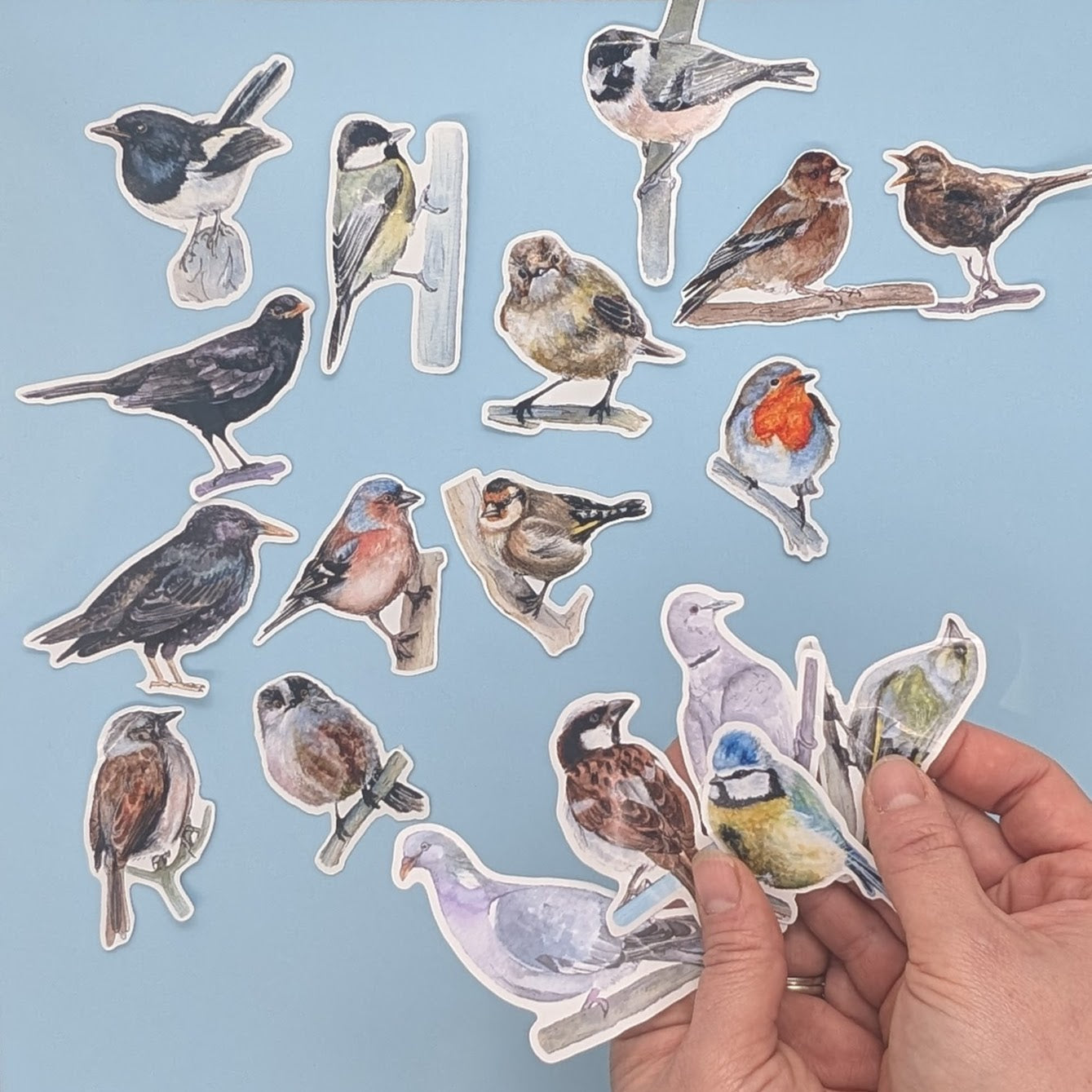 British Garden 18 Bird Sticker Set