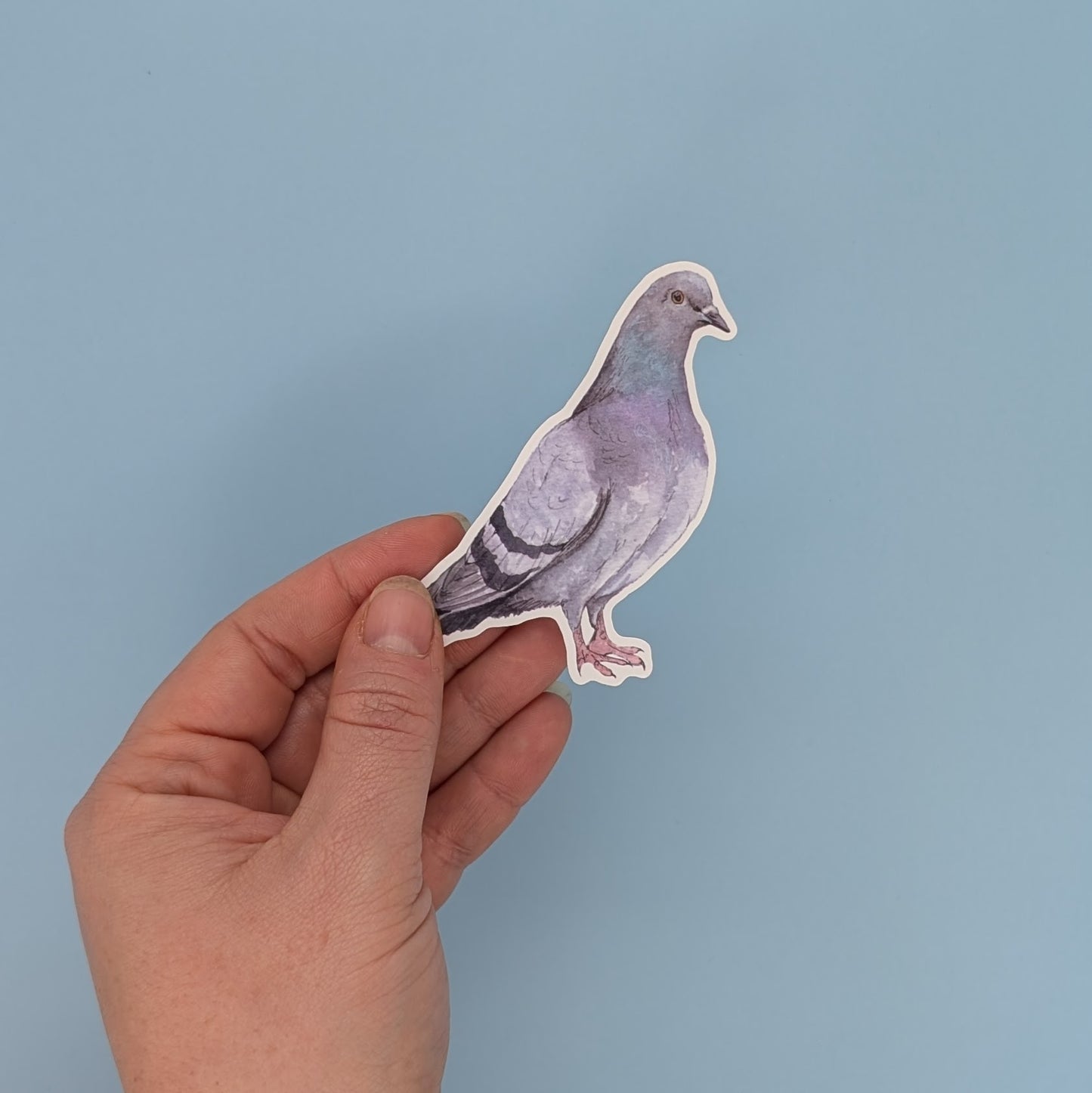 Vinyl Pigeon Sticker