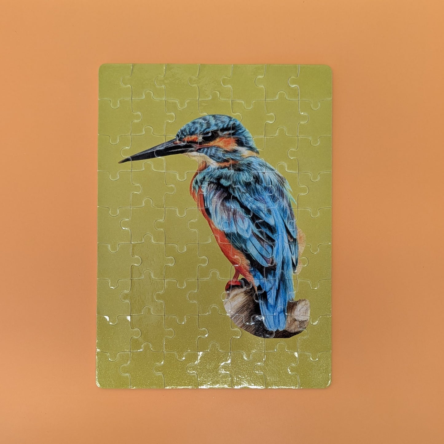 Kingfisher Jigsaw Puzzle: 63 Piece Animal Lover Gift