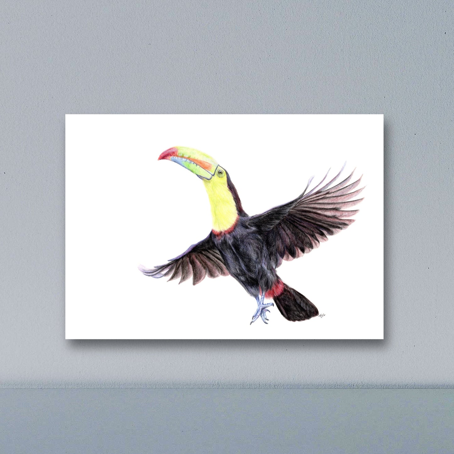 "Tookie Tookie" Toucan Art Print