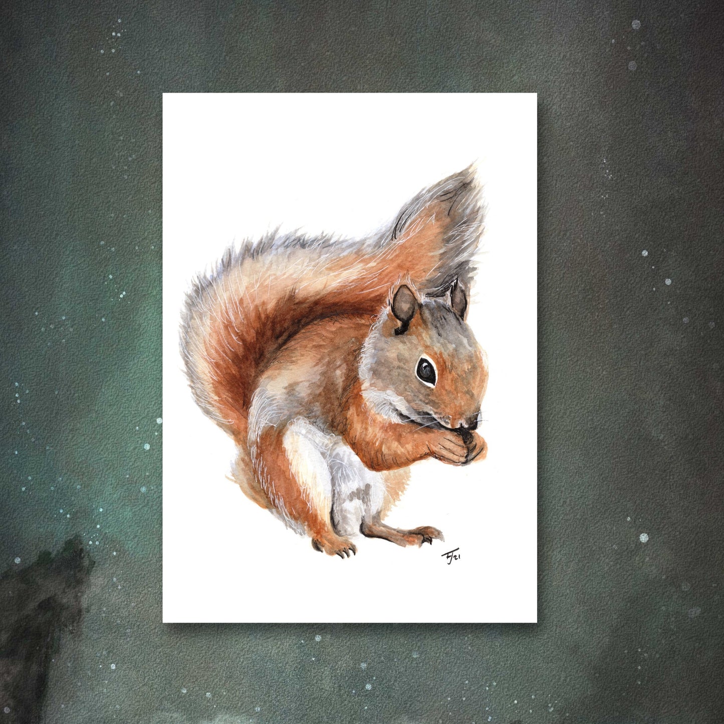 "Nutkin" Squirrel Watercolour Print