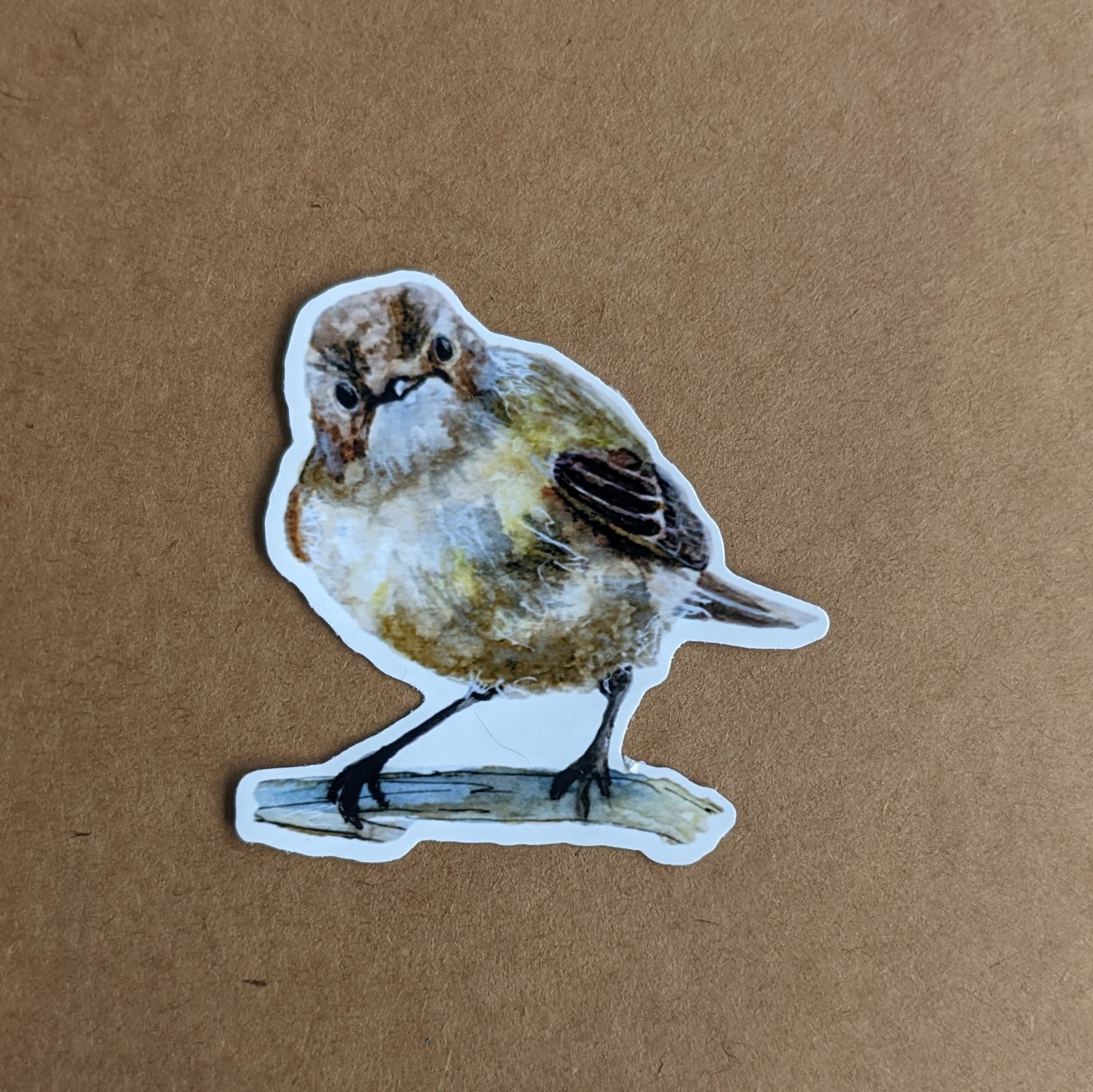 British Garden 4 Bird Sticker Set / Robin /Long tailed Tit / Blue tit / House Sparrow
