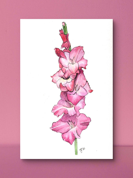 Gladiolus Art Print