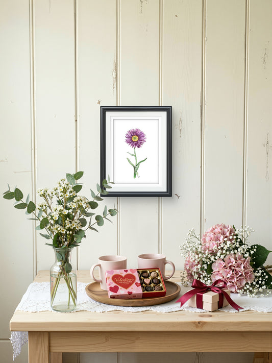 Aster Art Print