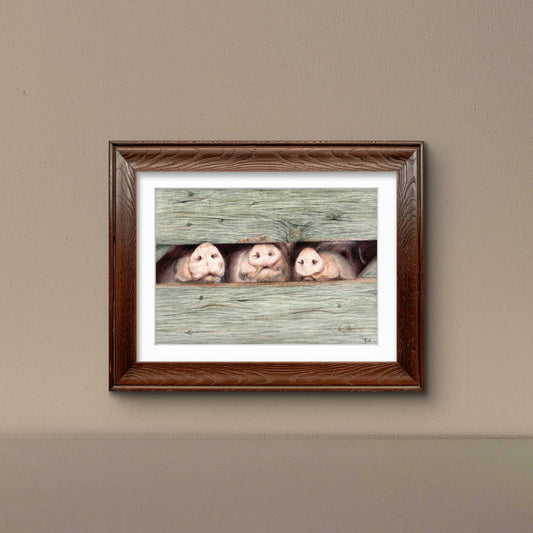 Nosey Swines Art Print