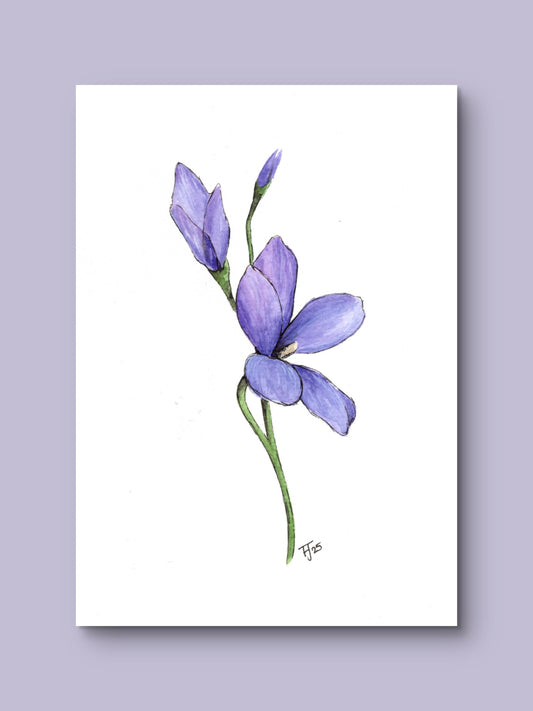 Violet Art Print