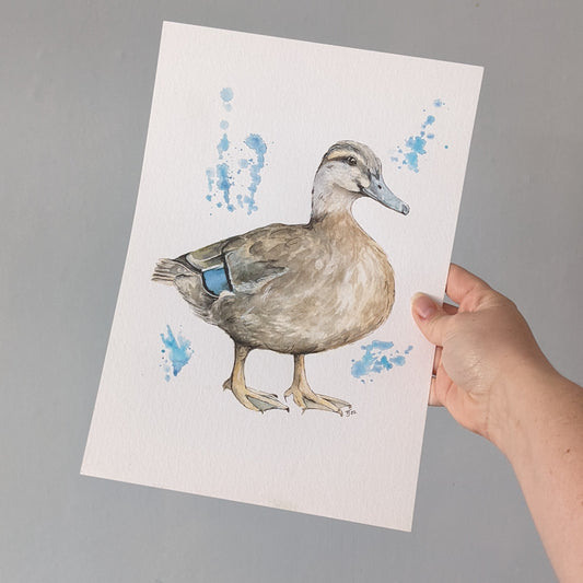 Original Watercolour of a female Mallard Duck "Queenie", A4