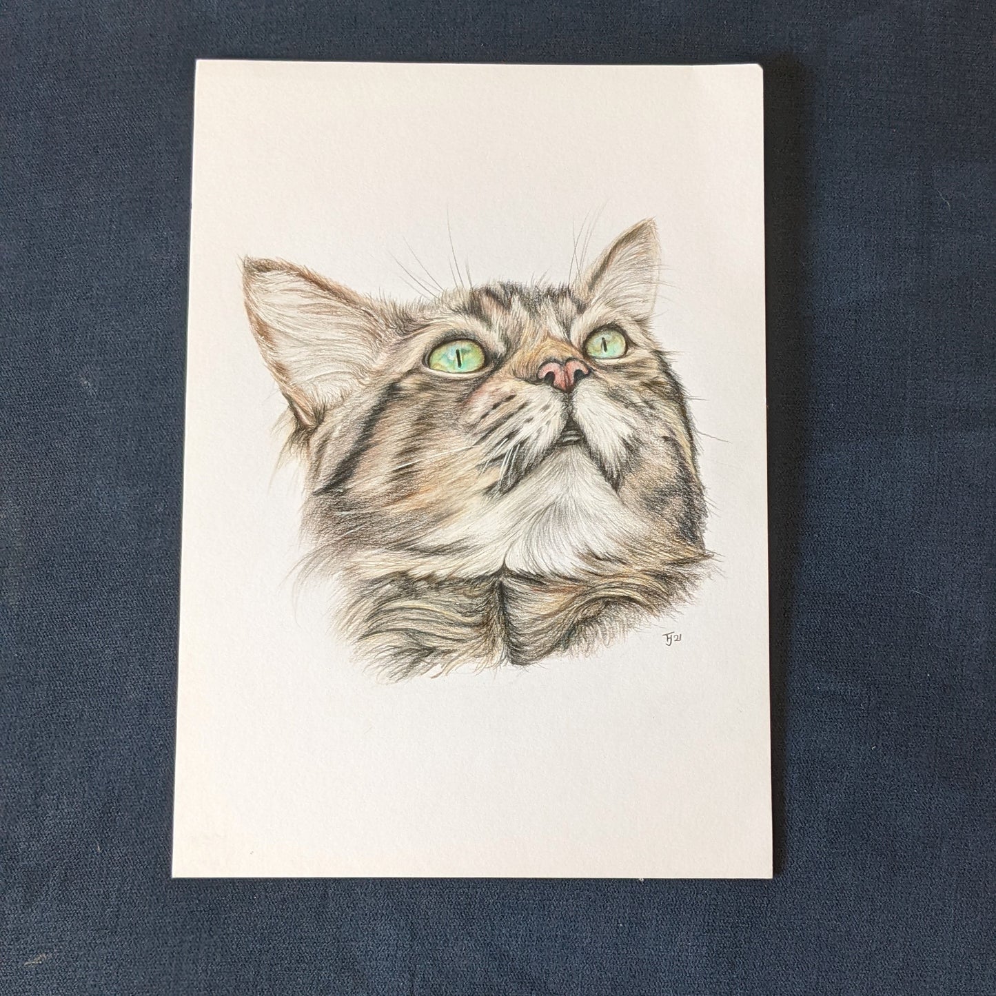 Original pencil drawing of a Tabby Cat "Bonny", A4