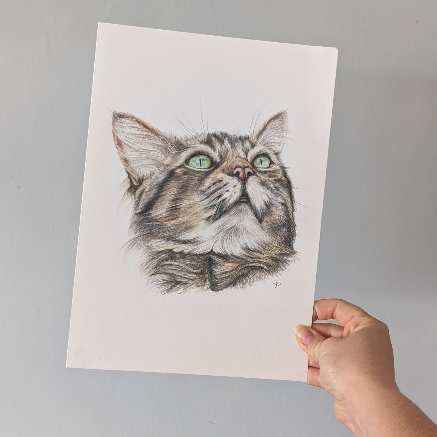 Original pencil drawing of a Tabby Cat "Bonny", A4