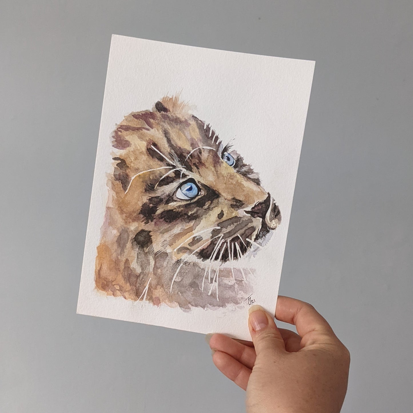 Original Watercolour of a Cheetah Cub "Blue" A5