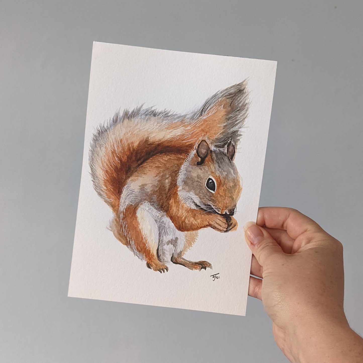 Original Watercolour of a Squirrel "Nutkin" A5