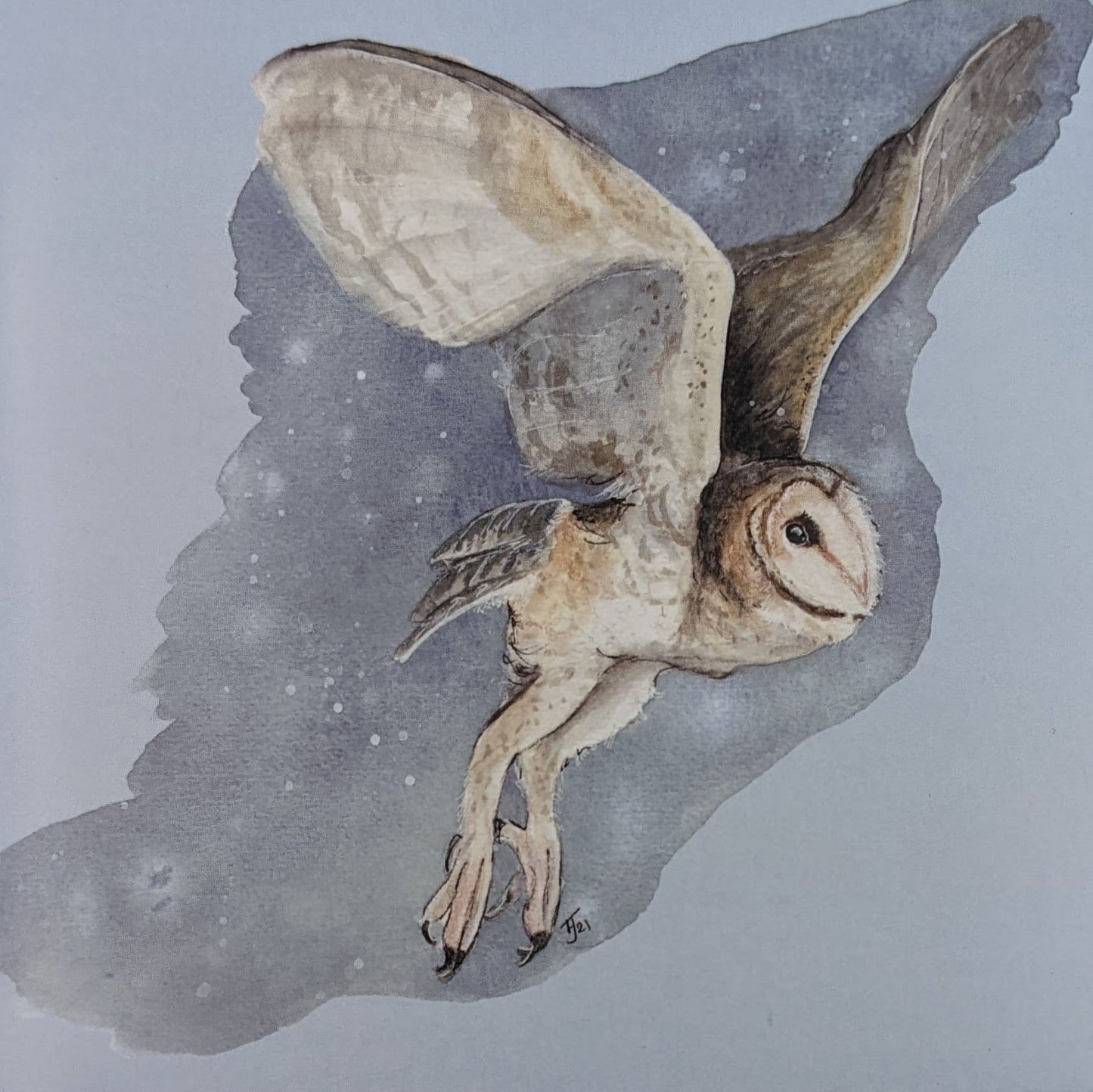 "Silent Night" Owl Blank Greetings Card