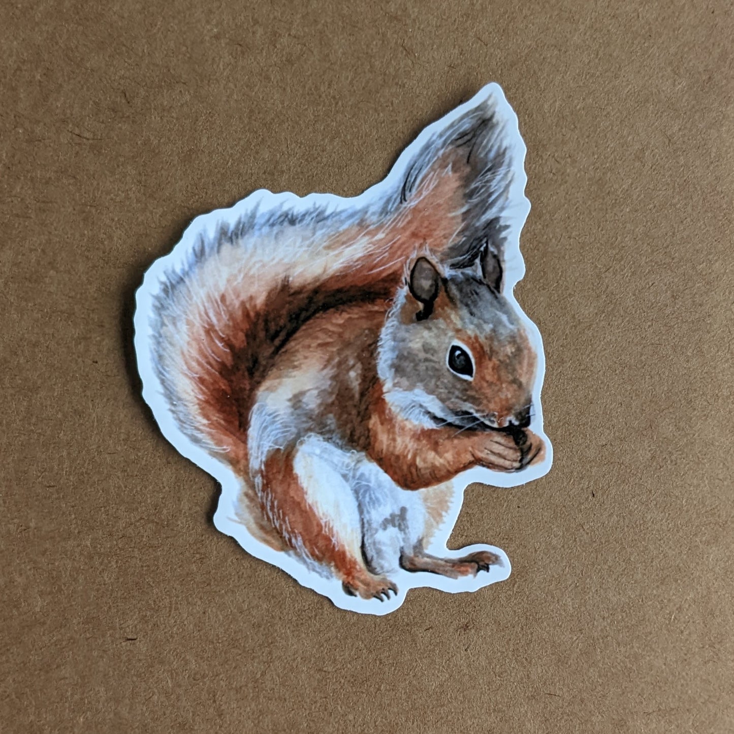 Red Squirrel Sticker "Nutkin"
