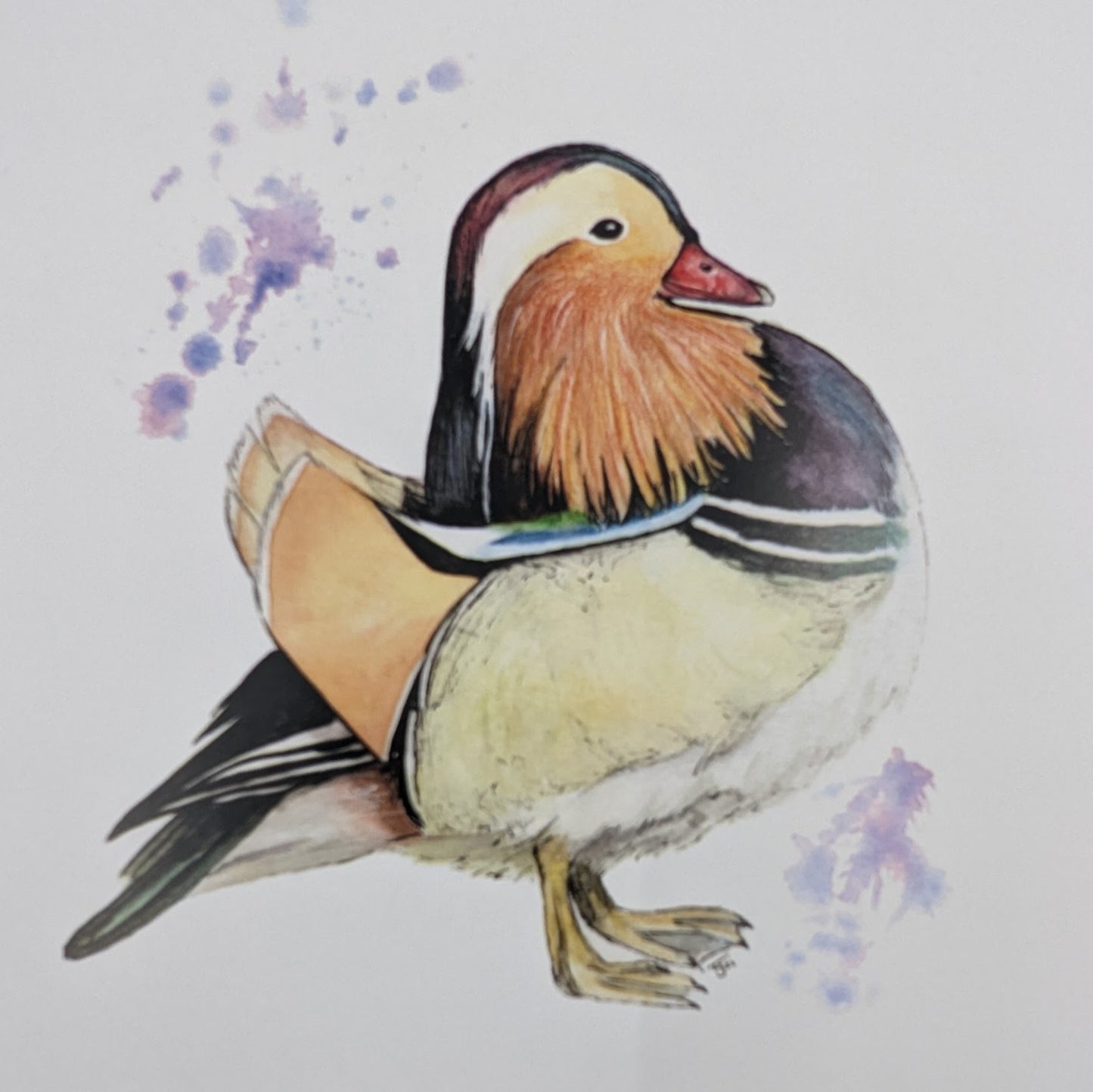 "Fancyboi" Mandarin Duck Blank Greetings Card, York University
